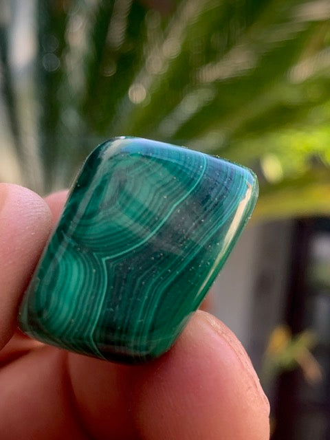 Malachite, tumbled stone of 30 mm x 22 x 21 - 38 gr.