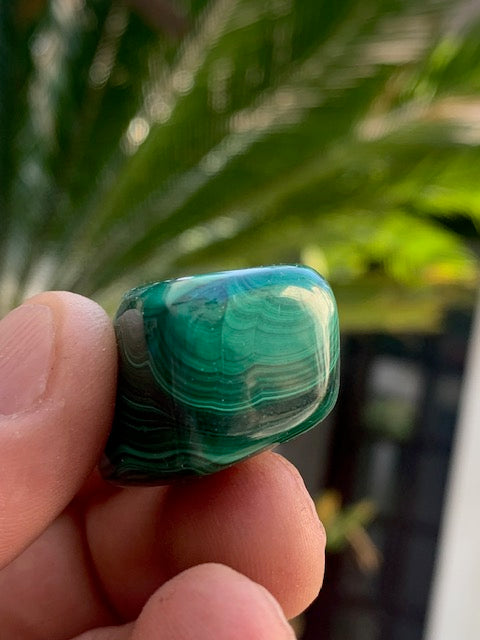 Malachite, tumbled stone of 30 mm x 22 x 21 - 38 gr.