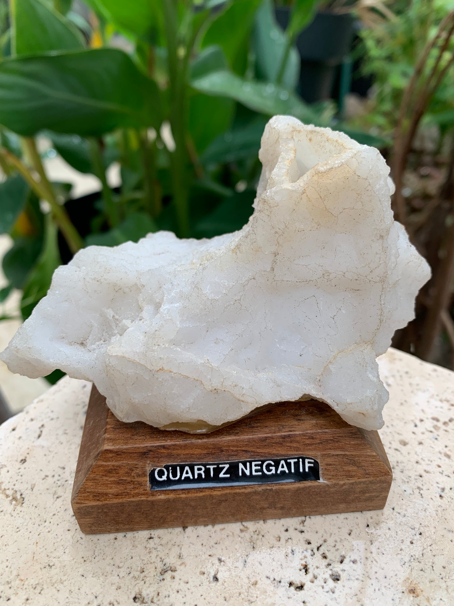 Quartz négatif/ Quartz Alpha - Pièce ancienne sur socle en bois - 103x67x54 mm - 161,1 gr. - Très belle pièce !