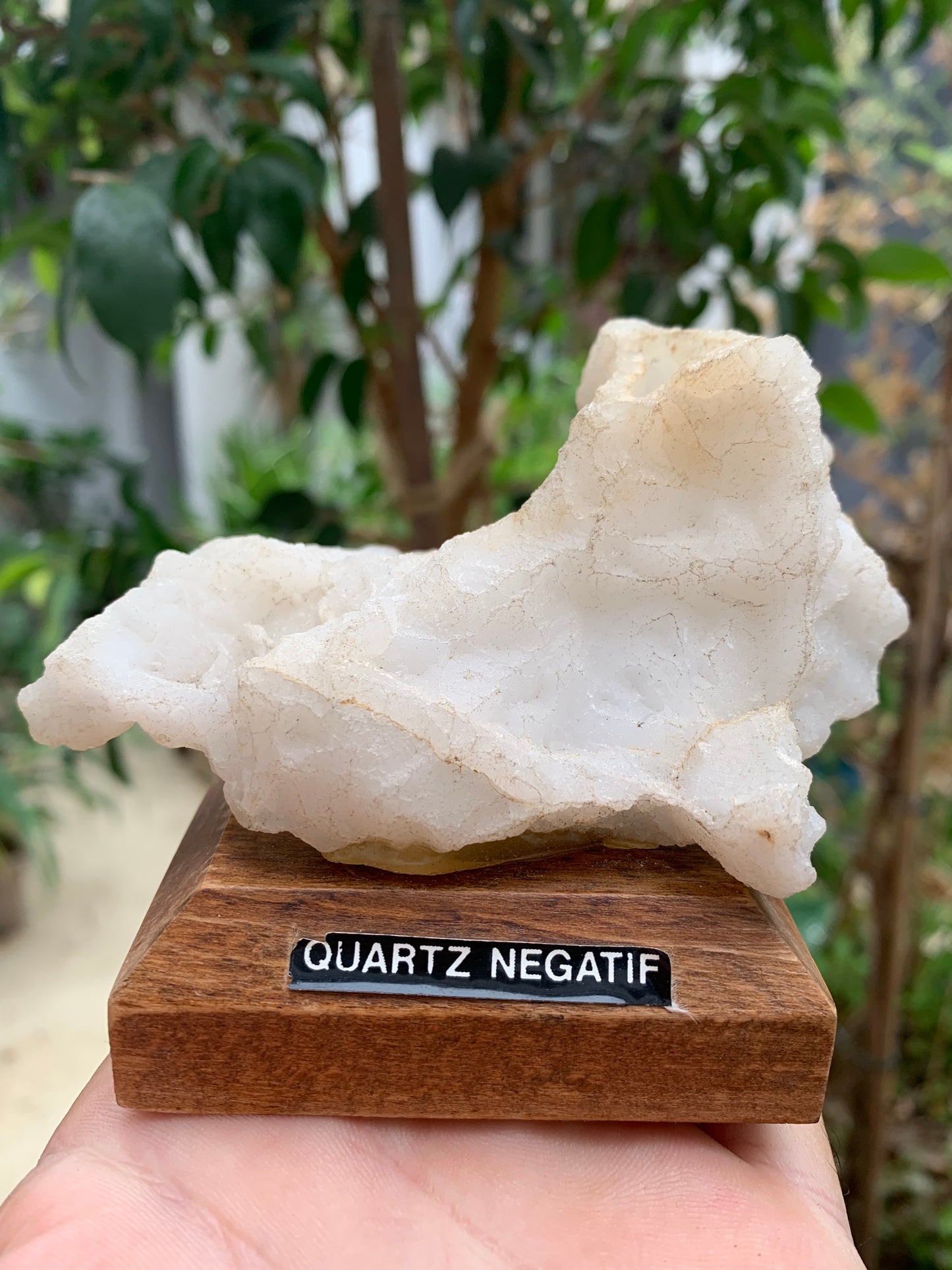 Quartz négatif/ Quartz Alpha - Pièce ancienne sur socle en bois - 103x67x54 mm - 161,1 gr. - Très belle pièce !