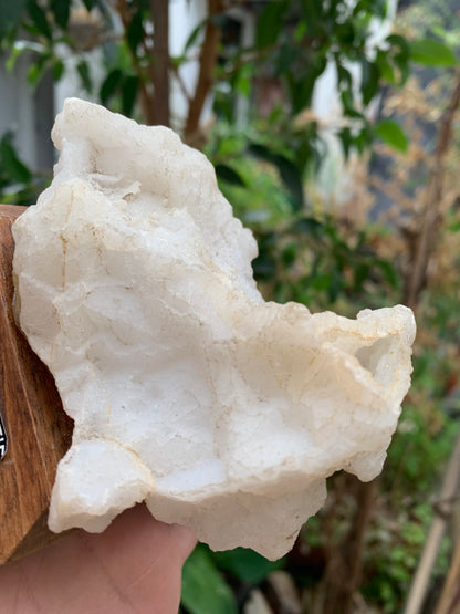 Quartz négatif/ Quartz Alpha - Pièce ancienne sur socle en bois - 103x67x54 mm - 161,1 gr. - Très belle pièce !