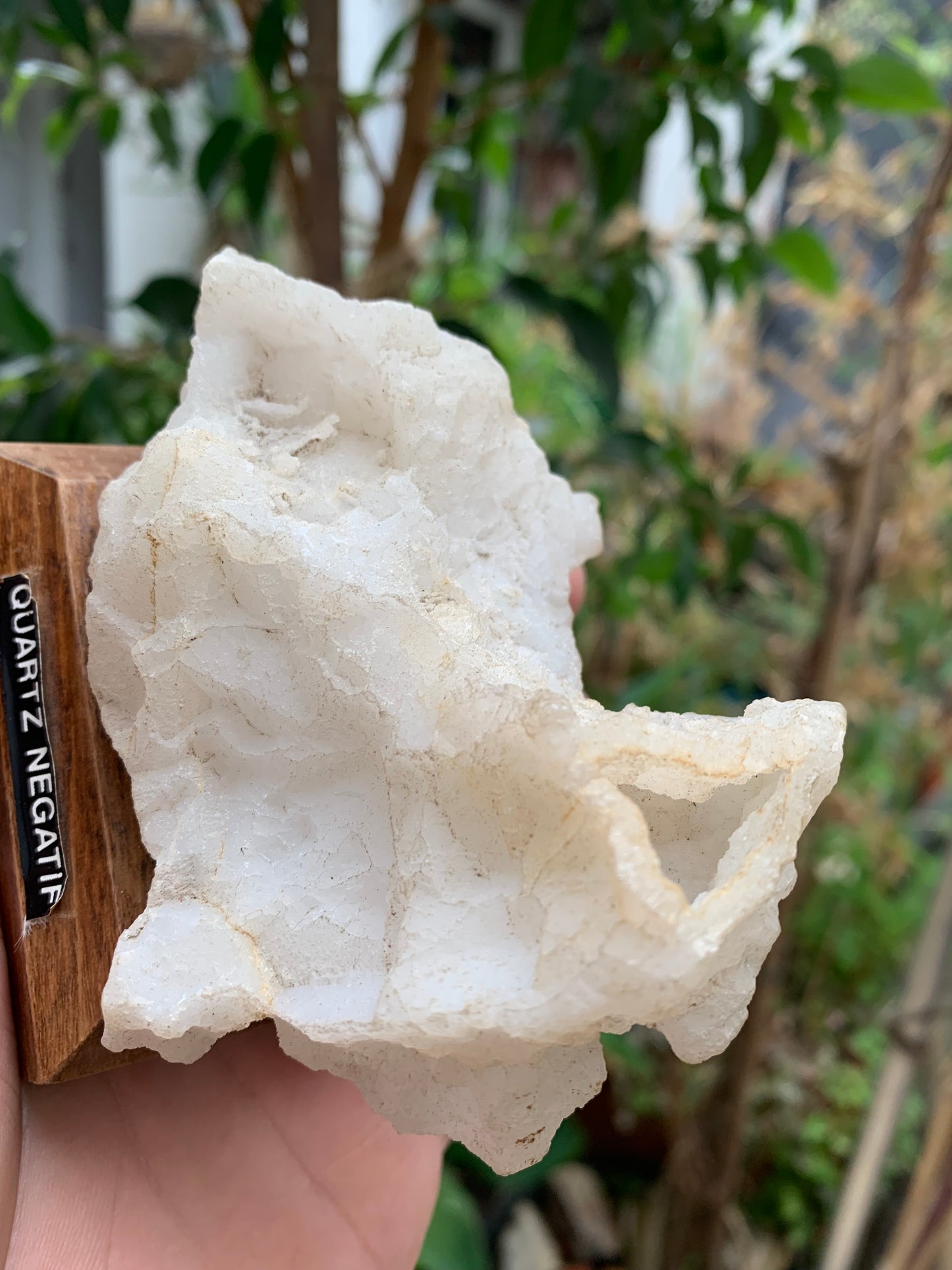 Quartz négatif/ Quartz Alpha - Pièce ancienne sur socle en bois - 103x67x54 mm - 161,1 gr. - Très belle pièce !