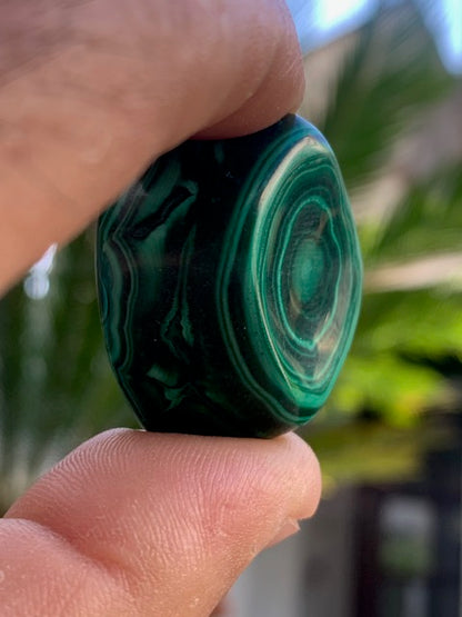 Malachite, tumbled stone of 28 mm x 23 x 21 - 37.2 gr.