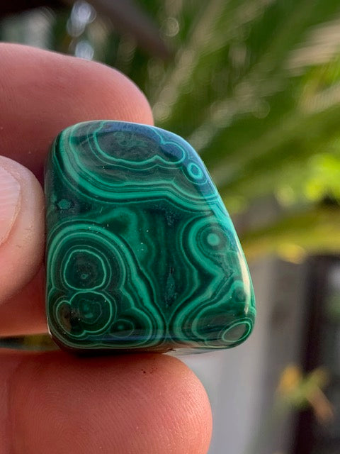 Malachite, tumbled stone of 28 mm x 23 x 21 - 37.2 gr.