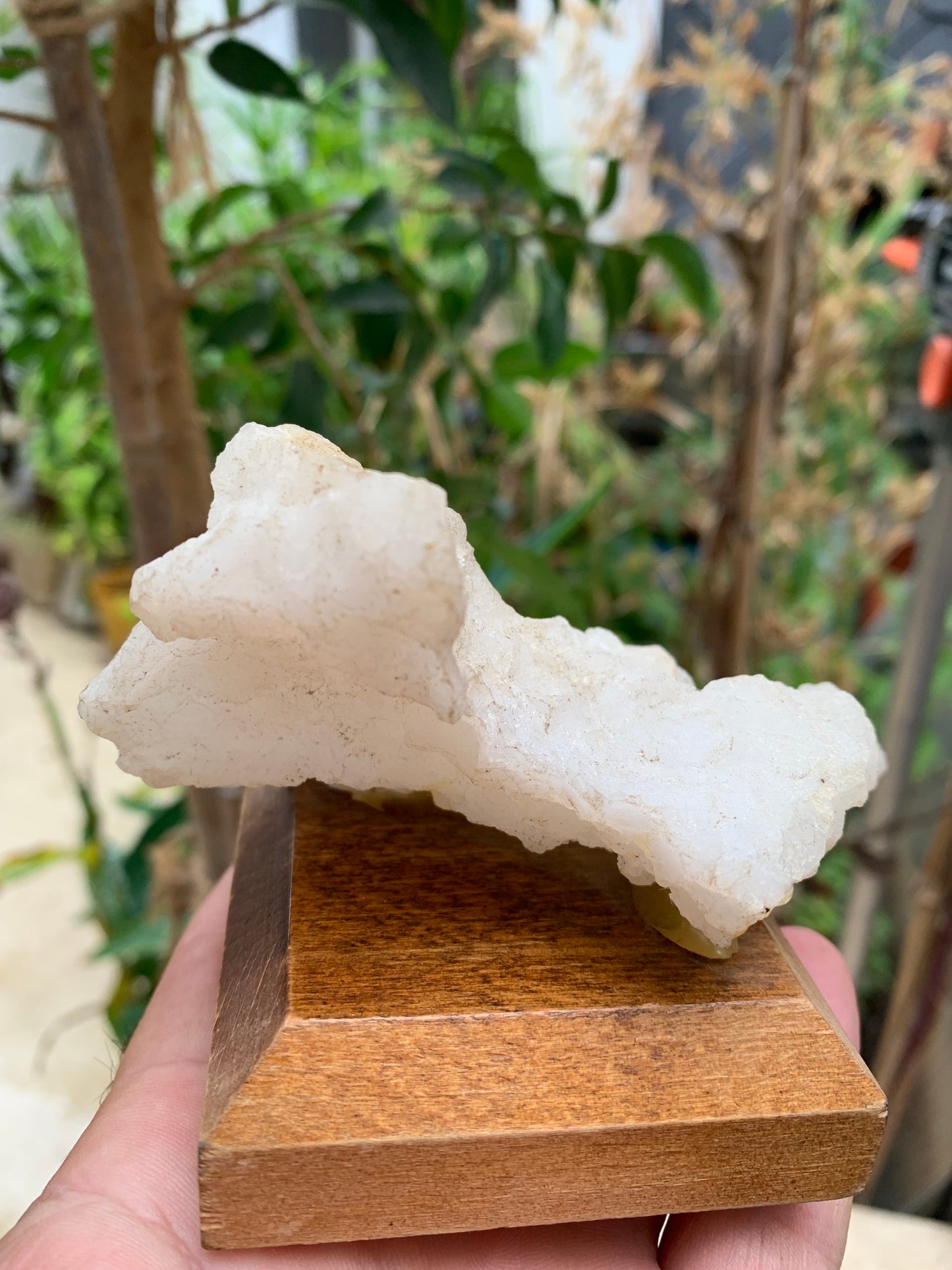 Quartz négatif/ Quartz Alpha - Pièce ancienne sur socle en bois - 103x67x54 mm - 161,1 gr. - Très belle pièce !