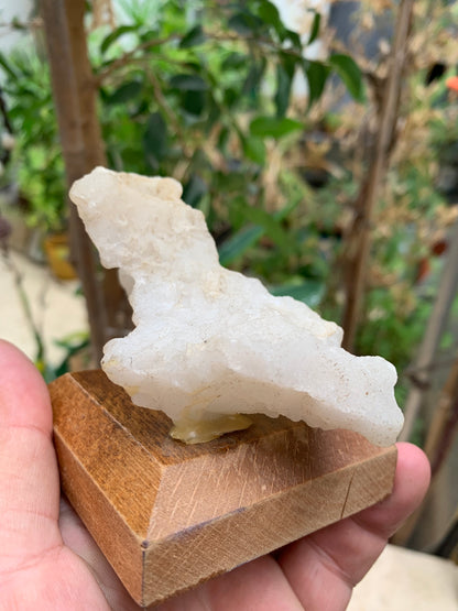 Quartz négatif/ Quartz Alpha - Pièce ancienne sur socle en bois - 103x67x54 mm - 161,1 gr. - Très belle pièce !