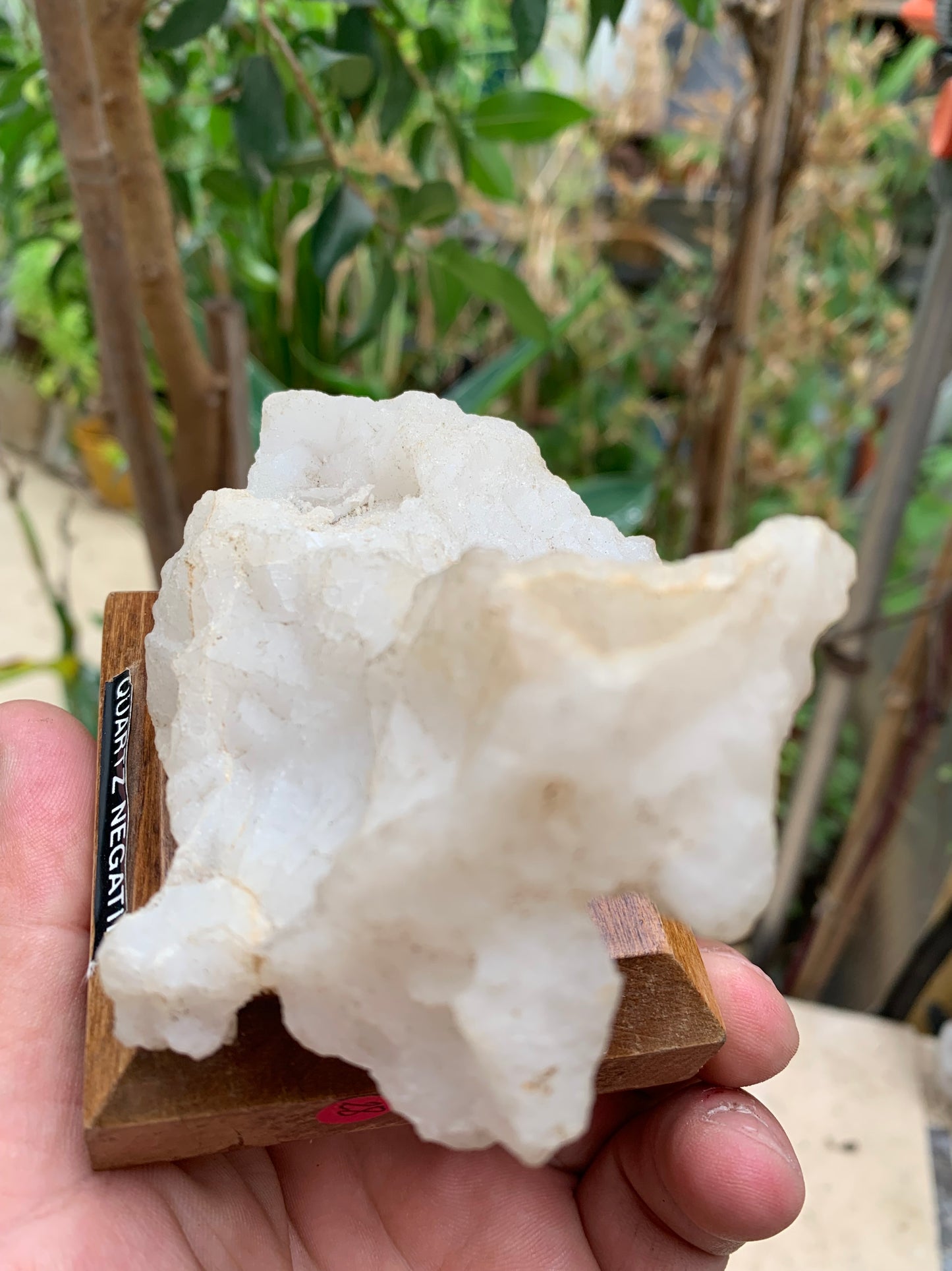 Quartz négatif/ Quartz Alpha - Pièce ancienne sur socle en bois - 103x67x54 mm - 161,1 gr. - Très belle pièce !