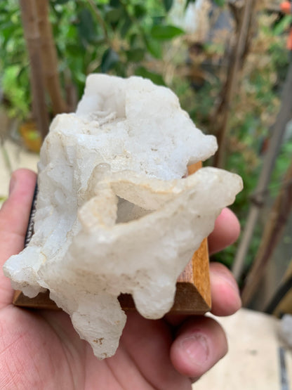 Quartz négatif/ Quartz Alpha - Pièce ancienne sur socle en bois - 103x67x54 mm - 161,1 gr. - Très belle pièce !