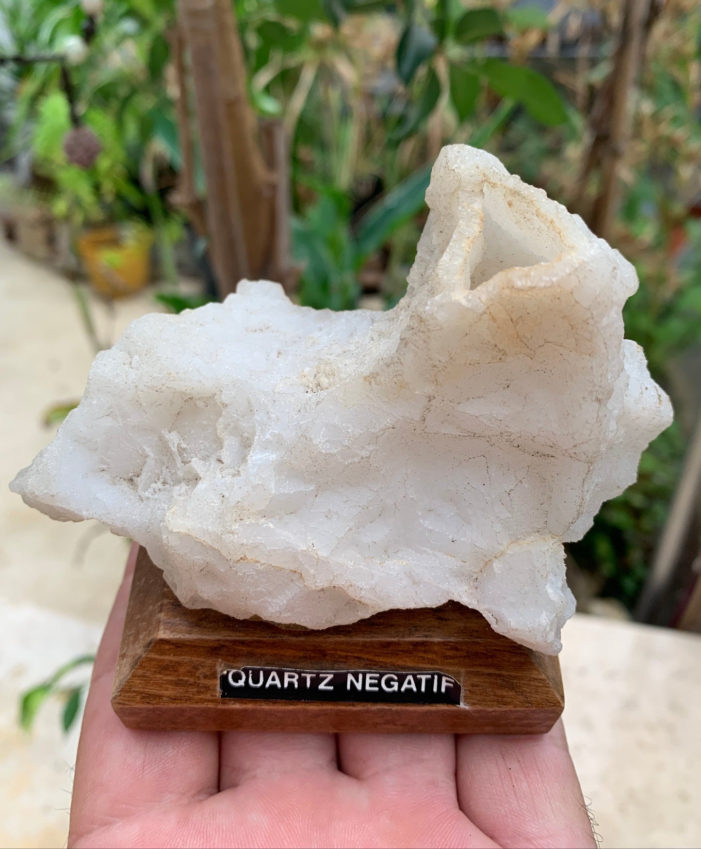 Quartz négatif/ Quartz Alpha - Pièce ancienne sur socle en bois - 103x67x54 mm - 161,1 gr. - Très belle pièce !