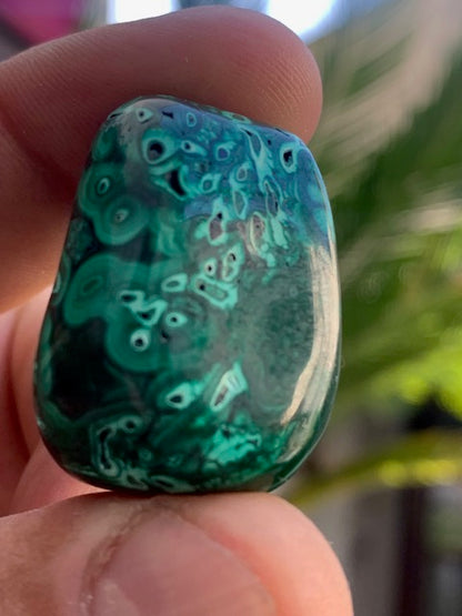 Malachite, tumbled stone of 34 mm x 24 x 21 - 36.3 gr.