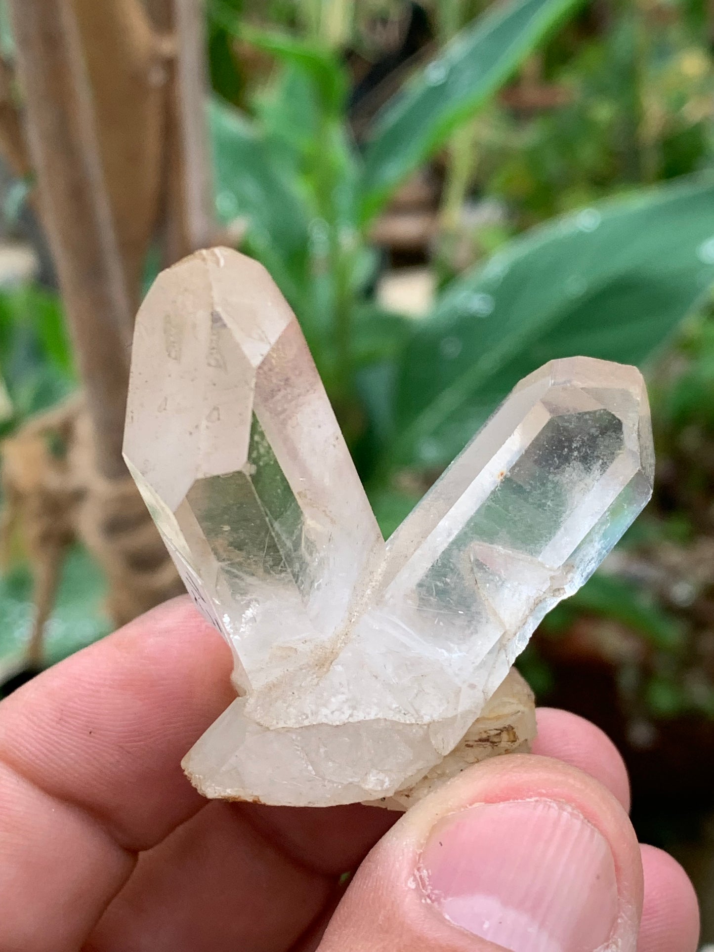 Cristal de Roche - Double pointe laser naturelle - ± 48 de haut x 50 de large x 32 mm d'épaisseur - 43,4 gr. !