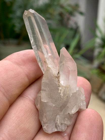 Cristal de Roche – Pointe laser jumelée naturelle – ±33 mm de haut × 65 mm de large × 30 mm d’épaisseur – 22 gr. !