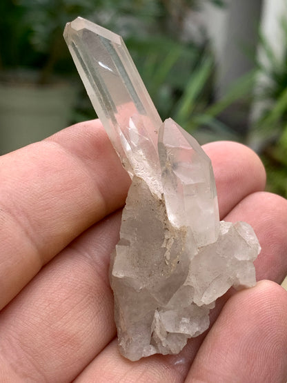 Cristal de Roche – Pointe laser jumelée naturelle – ±33 mm de haut × 65 mm de large × 30 mm d’épaisseur – 22 gr. !