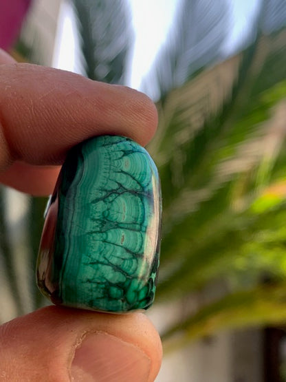 Malachite, tumbled stone of 34 mm x 24 x 18 - 26.3 gr.
