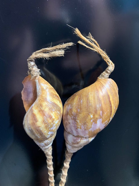 Castagnettes 'Escargot', se joue en faisant monter et descendre la baguette entre les deux escargots. Elle produit un son cliquetant mais très chaud.