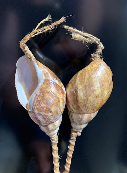 Castagnettes 'Escargot', se joue en faisant monter et descendre la baguette entre les deux escargots. Elle produit un son cliquetant mais très chaud.
