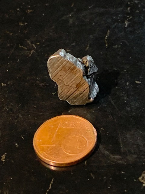 Météorite Campo Del Cielo d'Argentine de 19 x 11 x 10 mm - 5,6 gr.