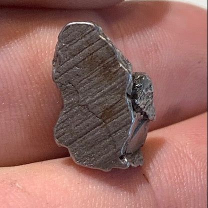 Météorite Campo Del Cielo d'Argentine de 19 x 11 x 10 mm - 5,6 gr.
