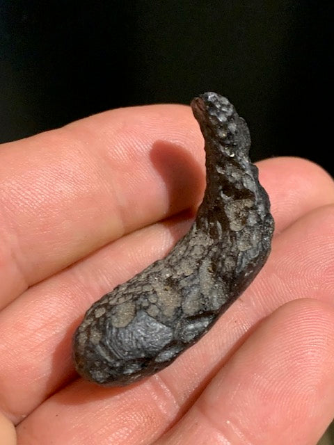 Tectite du Vietnam, taille de 45 x 22 x 19 mm - 12,5 gr. - Famille des Météorites