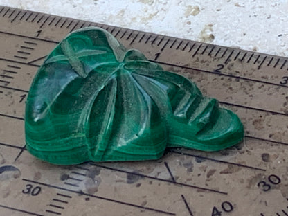 Malachite, cabochon de 29x21x10 - 9,6 grammes. Parfait en bijouterie, collection ,exposition...