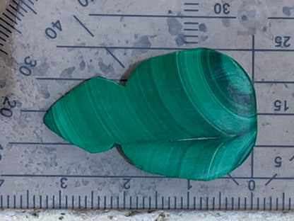 Malachite, cabochon de 33x20x9 - 7,9 grammes. Parfait en bijouterie, collection ,exposition...