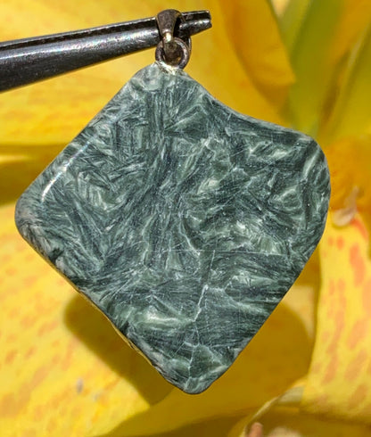 Séraphinite ! Pendentif en Argent 925 de 34mm de hauteur x 26 de largeur x 5 d'épaisseur. Vendu avec cordon réglable de couleur noire !