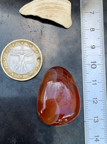 Cornaline, pendentif de 31mm de hauteur x 23 de largeur x 12 d'épaisseur. Vendu avec cordon réglable de couleur noire !