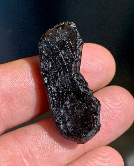 Tectite du Vietnam - 39 x 17 x 15 mm - 10,5 gr. - Famille des météorites