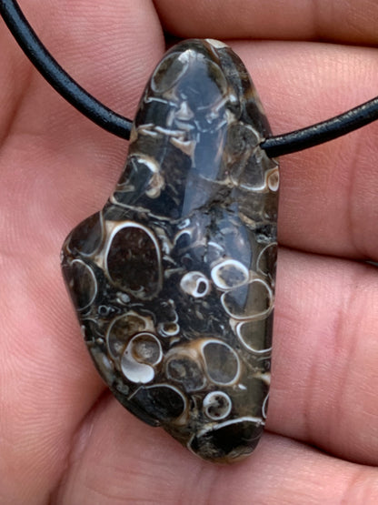 Agate turitelle/ fossile, pendentif de 42mm de hauteur x 22 de largeur x 11 d'épaisseur. Vendu avec cordon réglable de couleur noire !