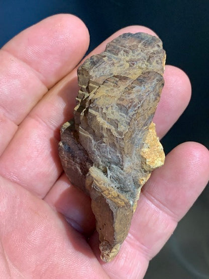 Impactite : terme général pour les roches modifiées ou créées par un impact météoritique - 76 mm x 34 x 33 - 54,7 gr.