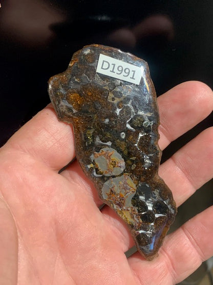 Selection of 'Pallasite Sericho' meteorites – from 6 to 40 g – magnificent inclusions of large olivine crystals