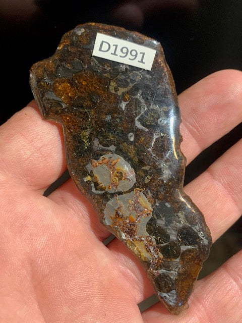 Selection of 'Pallasite Sericho' meteorites – from 6 to 40 g – magnificent inclusions of large olivine crystals