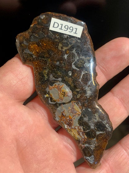 Selection of 'Pallasite Sericho' meteorites – from 6 to 40 g – magnificent inclusions of large olivine crystals
