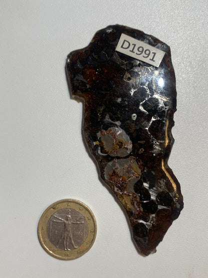 Selection of 'Pallasite Sericho' meteorites – from 6 to 40 g – magnificent inclusions of large olivine crystals
