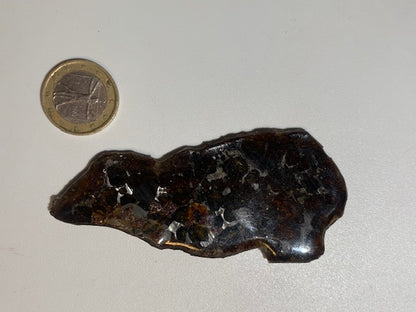 Selection of 'Pallasite Sericho' meteorites – from 6 to 40 g – magnificent inclusions of large olivine crystals