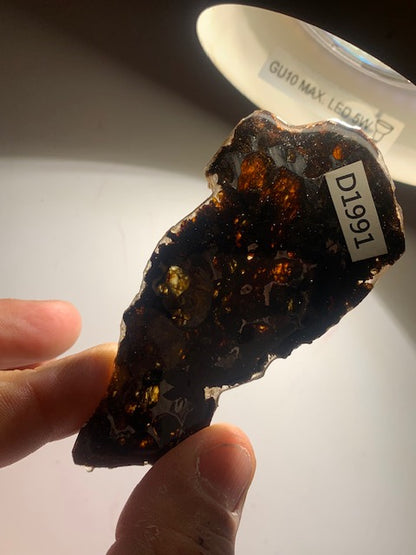 Selection of 'Pallasite Sericho' meteorites – from 6 to 40 g – magnificent inclusions of large olivine crystals
