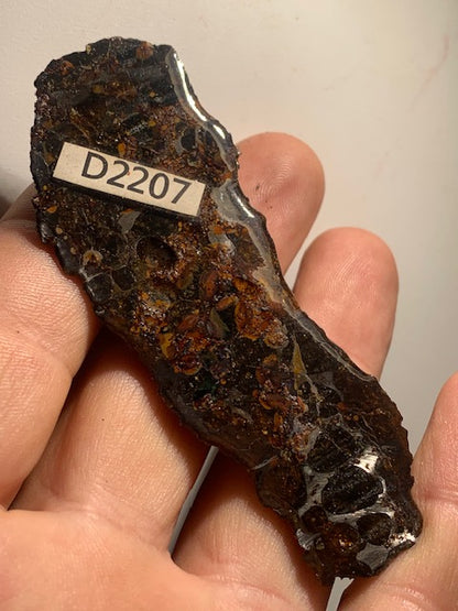 Selection of 'Pallasite Sericho' meteorites – from 6 to 40 g – magnificent inclusions of large olivine crystals
