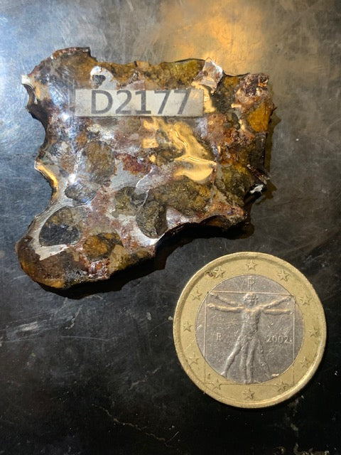Selection of 'Pallasite Sericho' meteorites – from 6 to 40 g – magnificent inclusions of large olivine crystals
