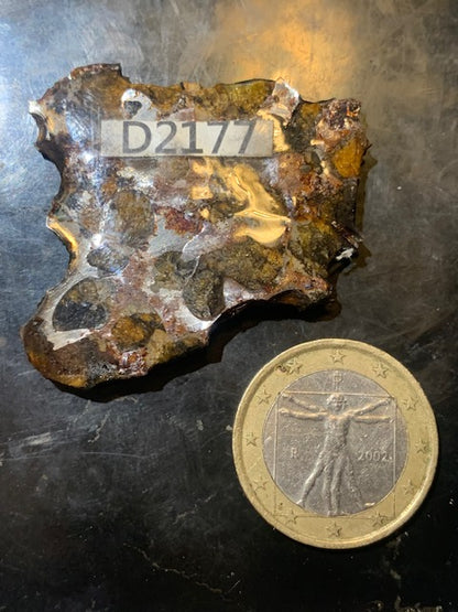 Selection of 'Pallasite Sericho' meteorites – from 6 to 40 g – magnificent inclusions of large olivine crystals