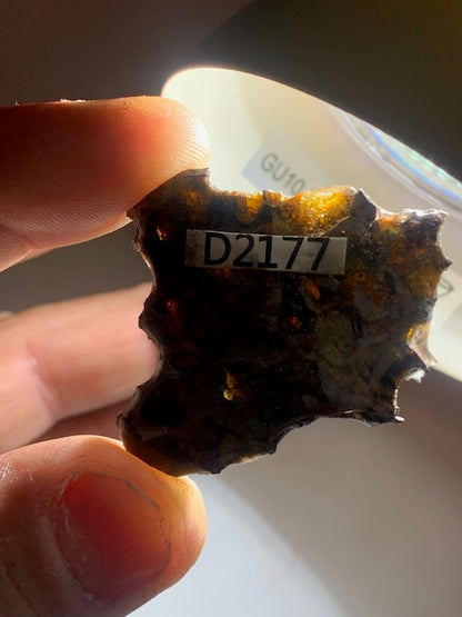 Selection of 'Pallasite Sericho' meteorites – from 6 to 40 g – magnificent inclusions of large olivine crystals