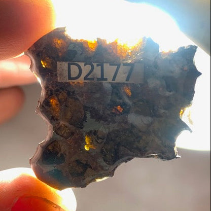 Selection of 'Pallasite Sericho' meteorites – from 6 to 40 g – magnificent inclusions of large olivine crystals