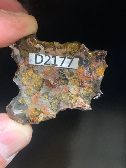 Selection of 'Pallasite Sericho' meteorites – from 6 to 40 g – magnificent inclusions of large olivine crystals