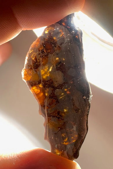 Selection of 'Pallasite Sericho' meteorites – from 6 to 40 g – magnificent inclusions of large olivine crystals