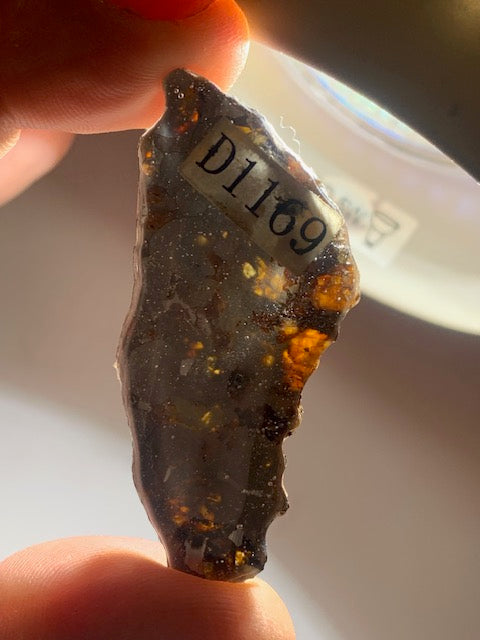 Selection of 'Pallasite Sericho' meteorites – from 6 to 40 g – magnificent inclusions of large olivine crystals