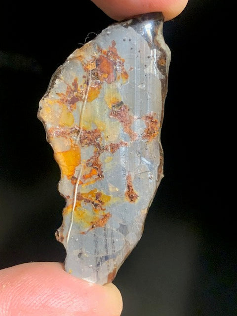 Météorite 'Pallasite Sericho' nommée aussi Habaswein – 58 x 26 x 7 mm/ 9,2 g