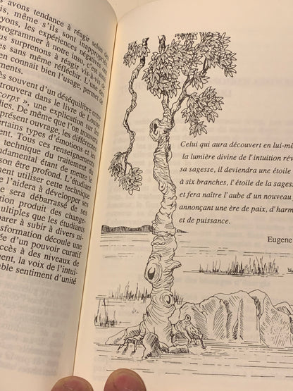 French book: REIKI: Healing, Self-Healing by Paula Horan, published by Entrelacs Éditions – A superb book on forgotten knowledge!