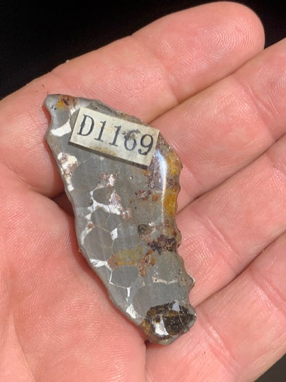 Selection of 'Pallasite Sericho' meteorites – from 6 to 40 g – magnificent inclusions of large olivine crystals