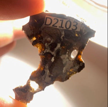 Selection of 'Pallasite Sericho' meteorites – from 6 to 40 g – magnificent inclusions of large olivine crystals