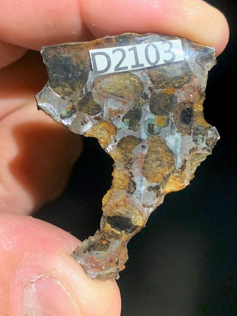 Selection of 'Pallasite Sericho' meteorites – from 6 to 40 g – magnificent inclusions of large olivine crystals