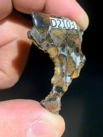 Selection of 'Pallasite Sericho' meteorites – from 6 to 40 g – magnificent inclusions of large olivine crystals